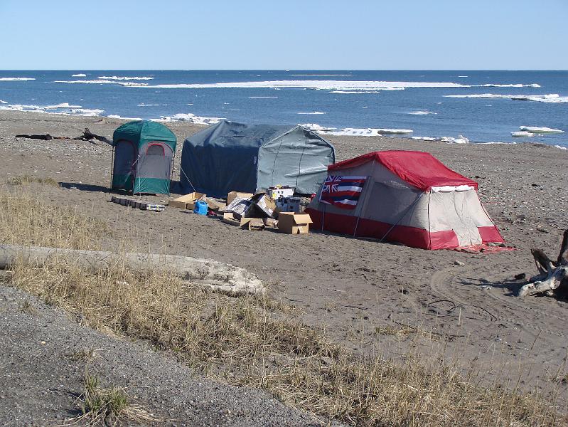 Alaska 2008 147.jpg